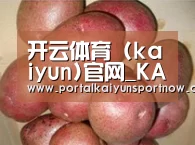 产品展示标题1