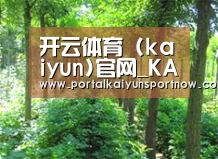 种植基地九