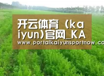 种植基地四