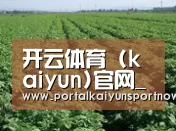 种植基地五(图1)