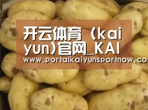产品展示标题6