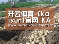 种植基地七(图1)