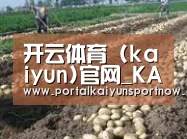 种植基地八