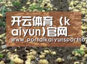 种植基地八(图1)