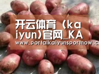 产品展示标题5(图1)