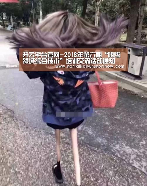 开云平台官网