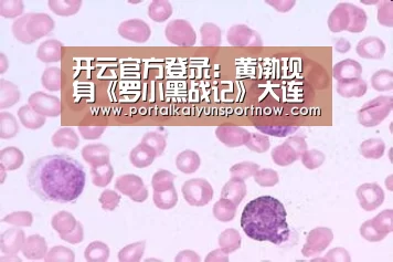 开云官方登录:黄渤现身《罗小黑战记》大连路演 导演木头在线“表白”推广大使(图3) 开云官方登录