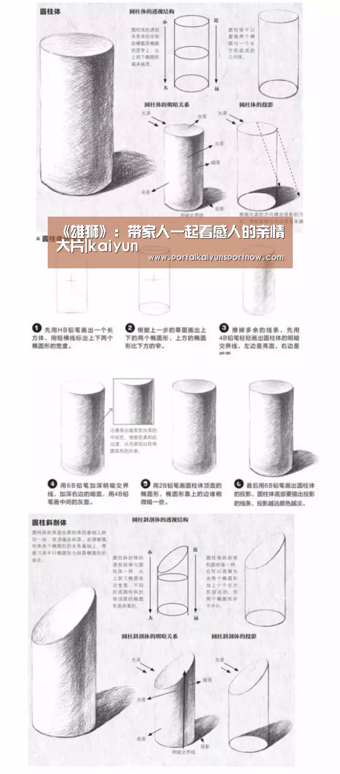 《雄狮》:带家人一起看感人的亲情大片|kaiyun(图4) 开云官方登录