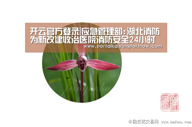 开云官方登录|应急管理部:湖北消防为新改建收治医院消防安全24小时现场监护(图3) 开云官网登录入口