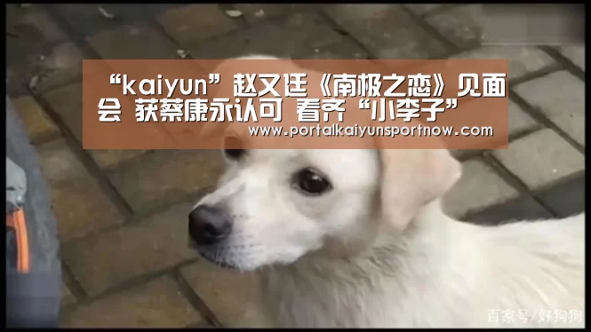 “kaiyun”赵又廷《南极之恋》见面会 获蔡康永认可 看齐“小李子”(图2)