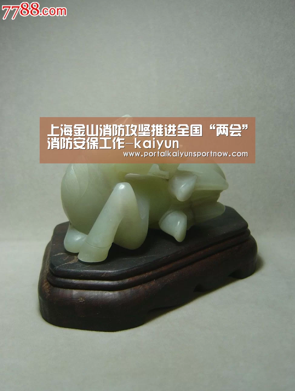 上海金山消防攻坚推进全国“两会”消防安保工作-kaiyun(图1) 开云平台官网