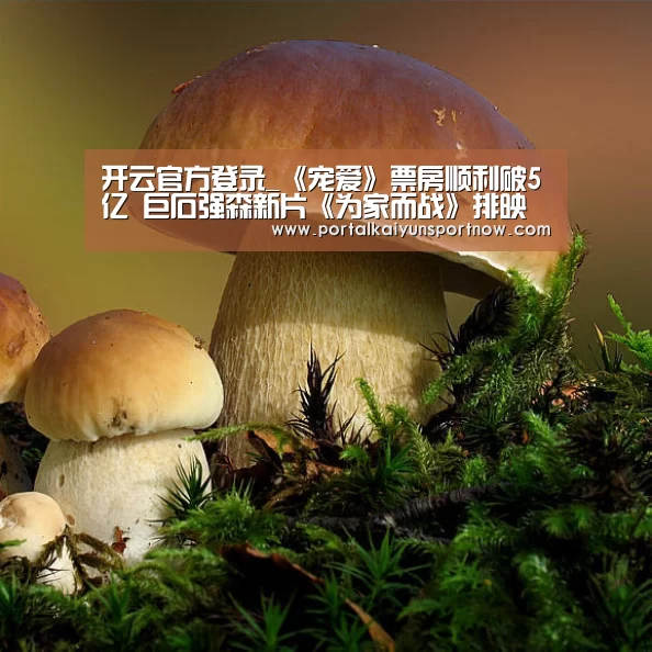 开云官方登录_《宠爱》票房顺利破5亿 巨石强森新片《为家而战》排映占比夺冠(图3) 开云官方登录