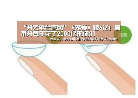 开云官方登录